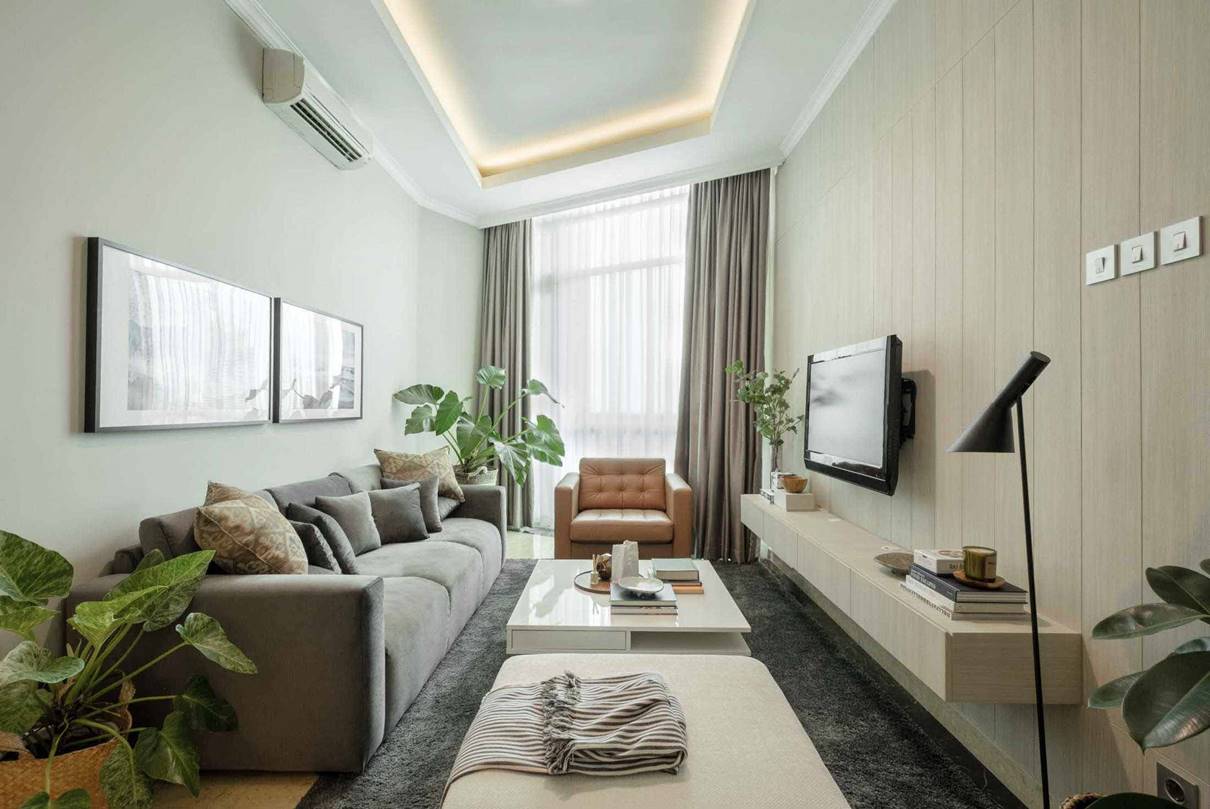 tanaman hias indoor