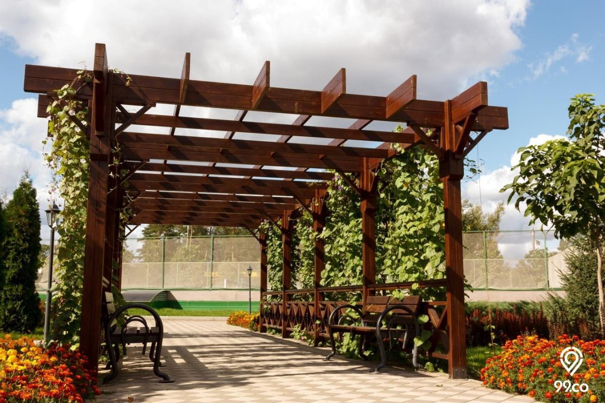 Gazebo Pergola
