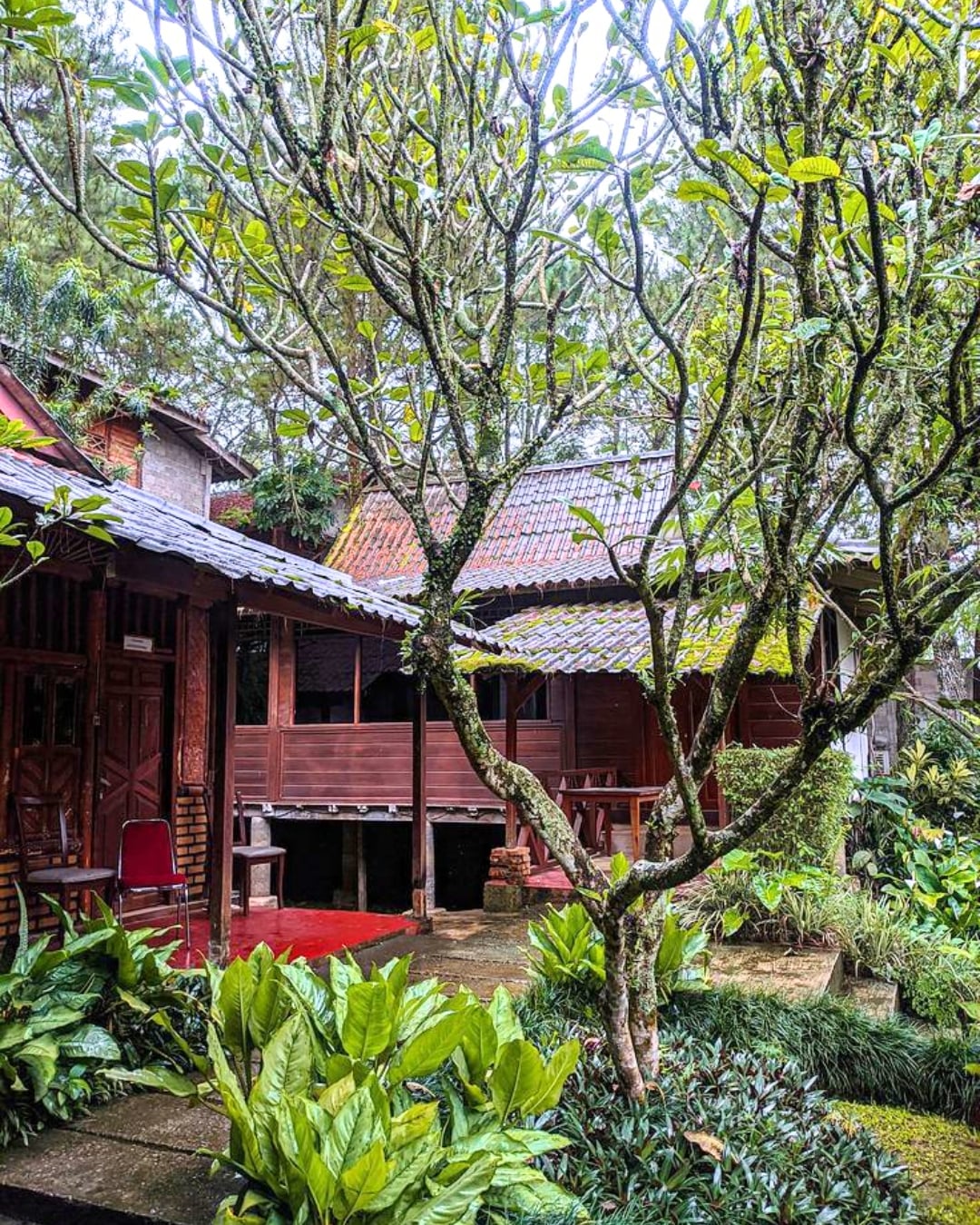 Rumah Panggung Kebun