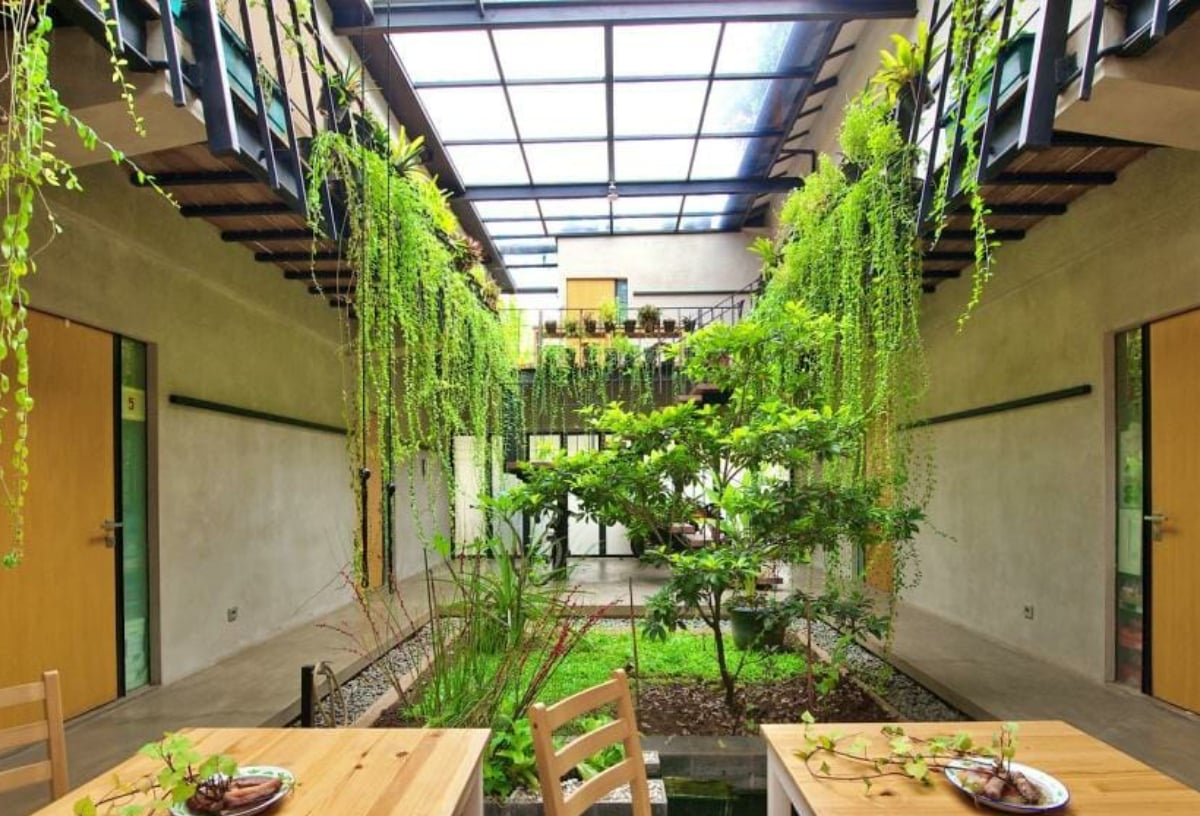 desain rumah kost 2 lantai lahan sempit dengan indoor garden