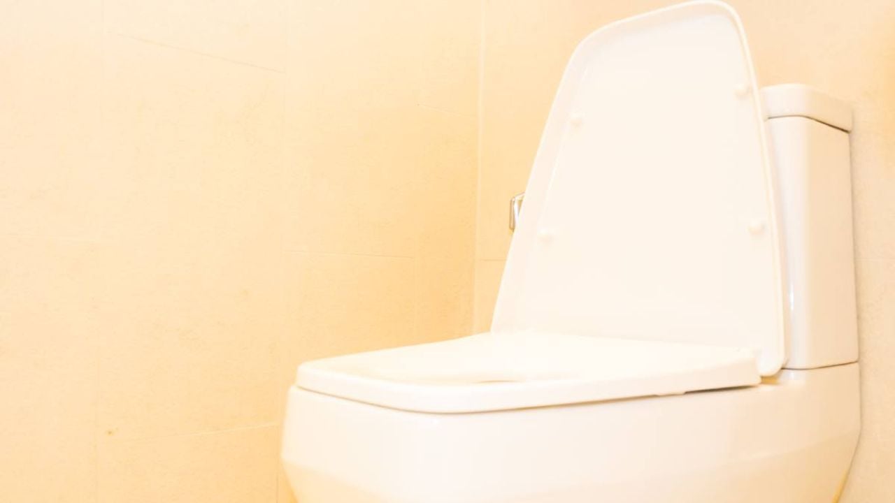 cara mengatasi wc mampet tanpa bongkar yang ampuh