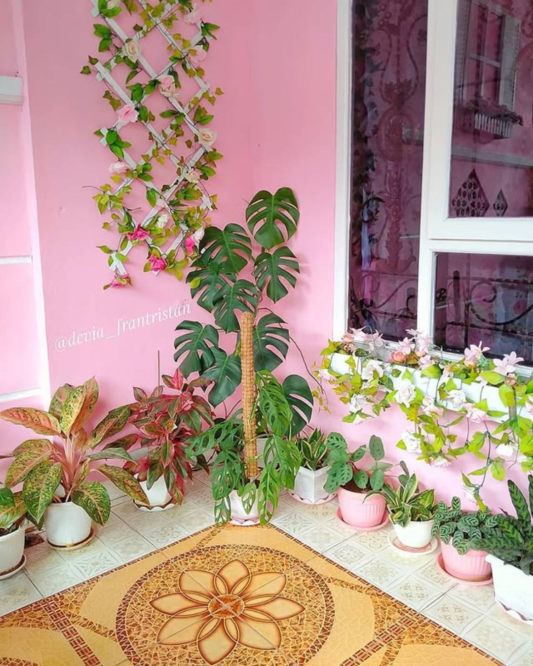 teras pink