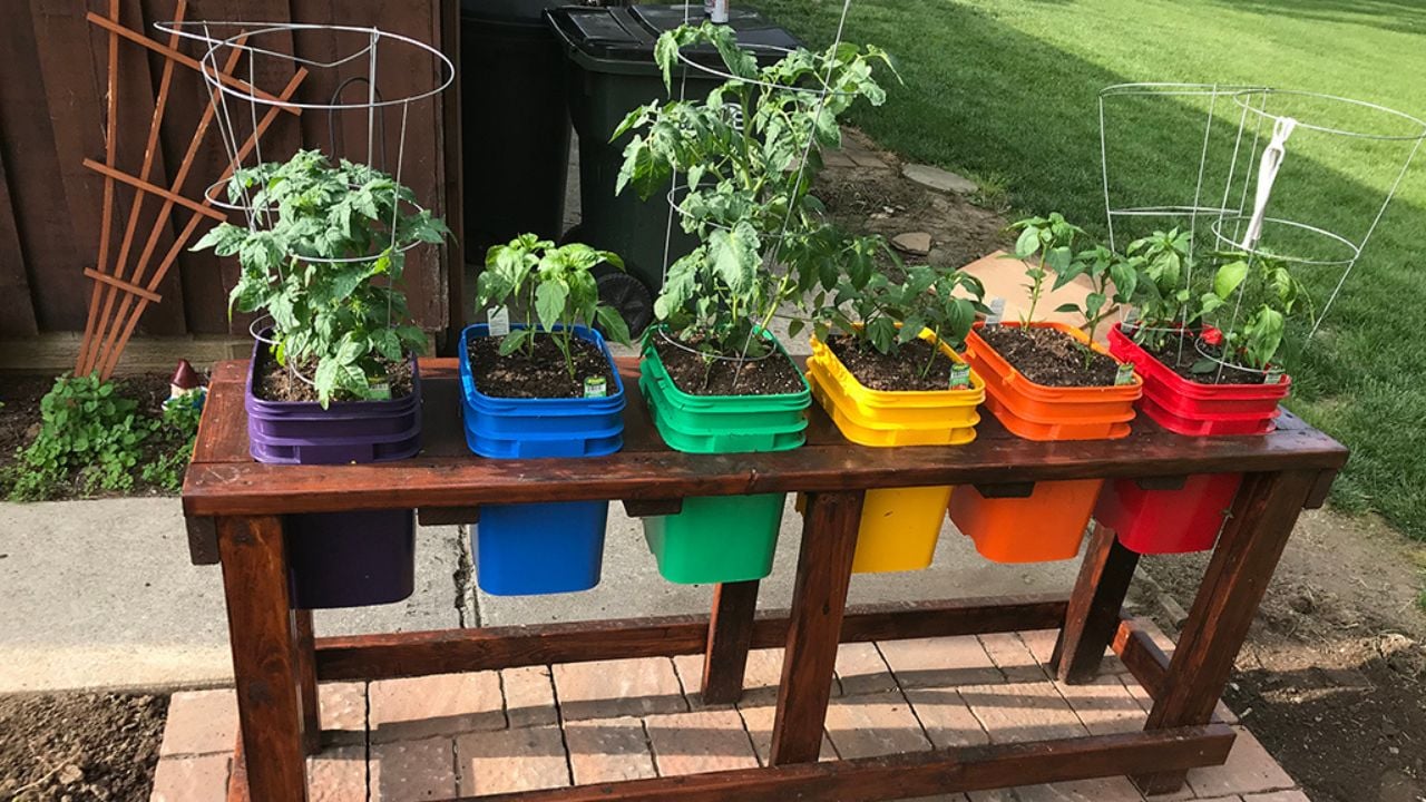 Metode Container Gardening