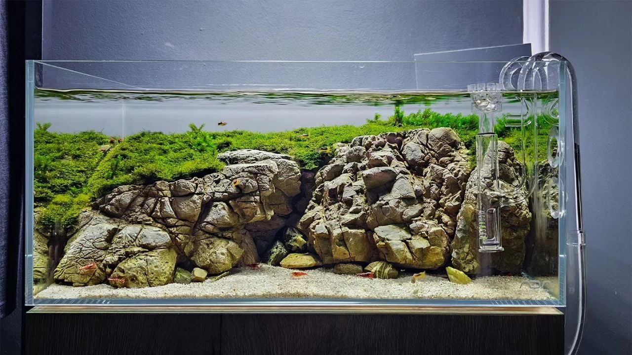 Teknik Aquascaping