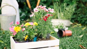 7 Cara Berkebun di Halaman Rumah yang Sempit