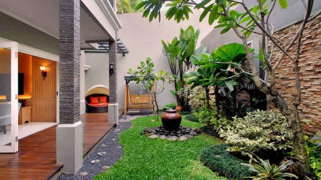 5 Tanaman Hias Outdoor Tahan Panas yang Mudah Dirawat 5 Tanaman Hias Outdoor Tahan Panas yang Mudah Dirawat