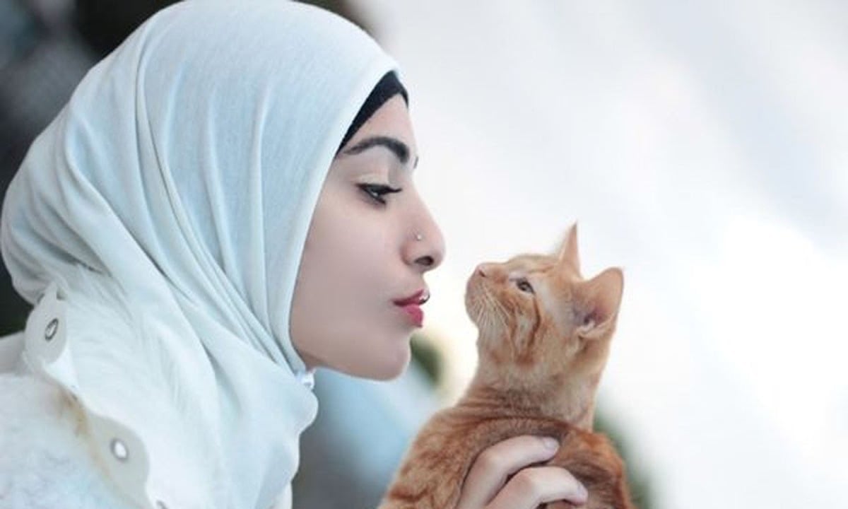 kucing dalam islam