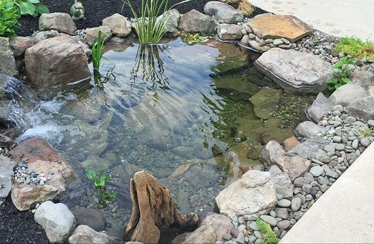 kolam ikan depan rumah menurut islam