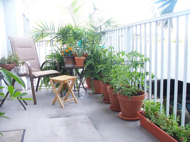 balkon dengan tanaman pot