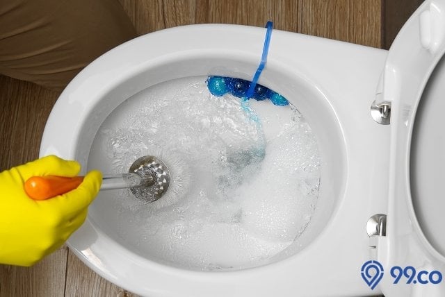 mengatasi wc mampet dengan sunlight