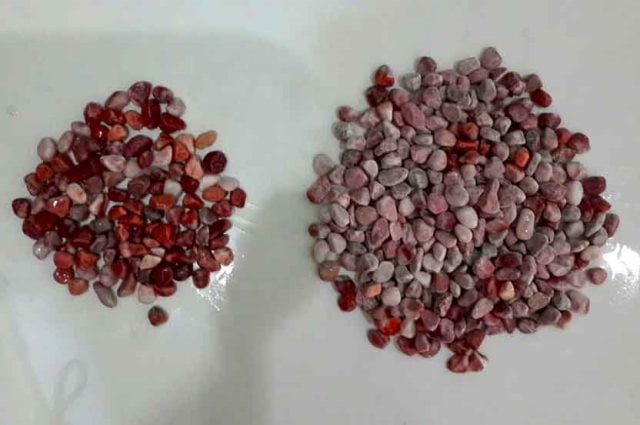 batu sikat merah