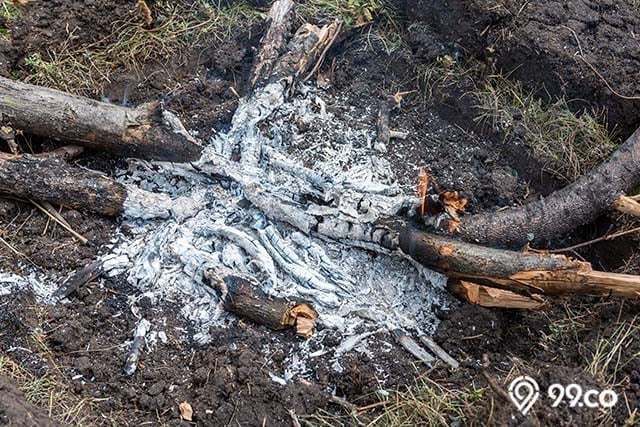 risiko penggunaan abu kayu bakar untuk tanaman