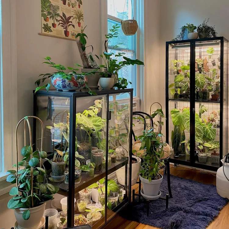 green house indoor