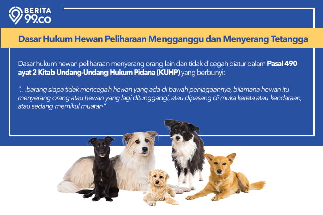 hukum hewan peliharaan mengganggu tetangga