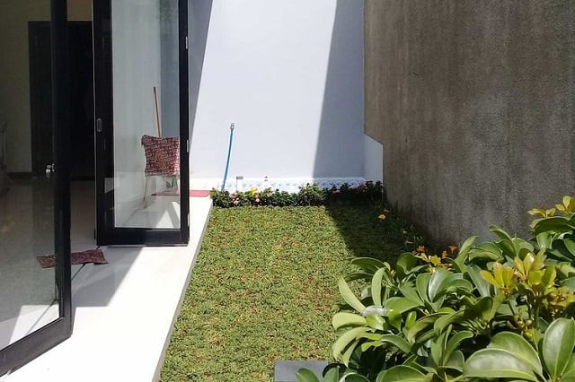 rumput