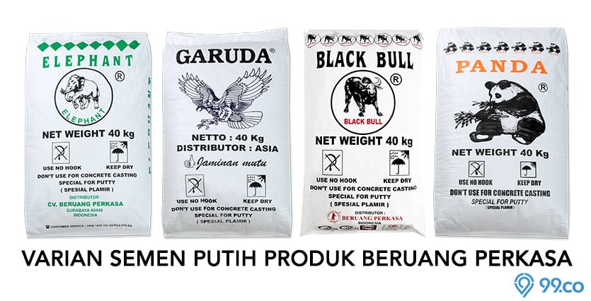 semen putih beruang perkasa