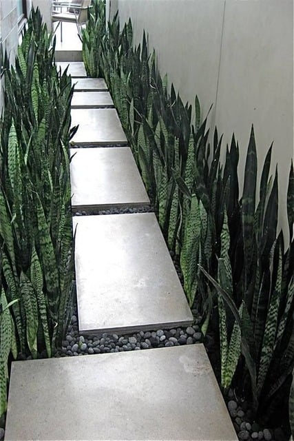 jalan setapak di taman