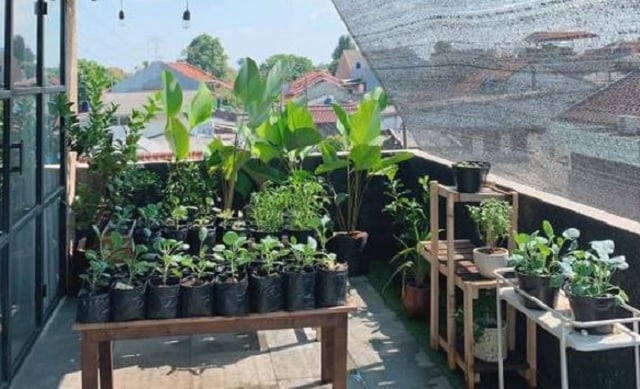 kebun di rooftop