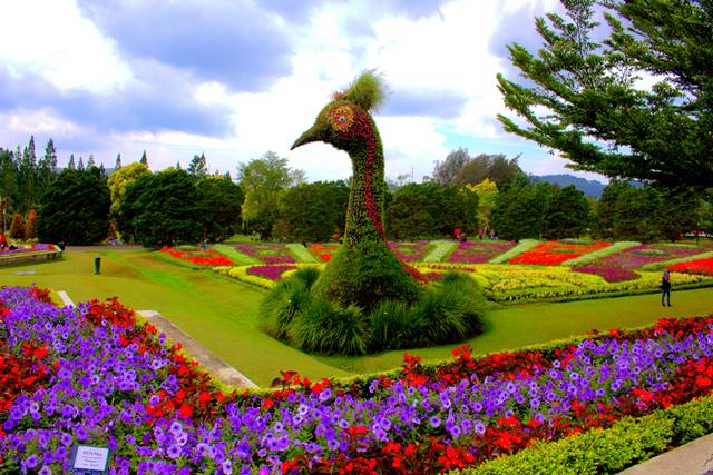Taman Bunga Nusatantara