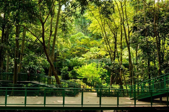Taman Kota Babakan Siliwangi