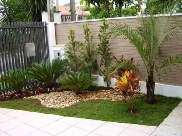 pohon palem