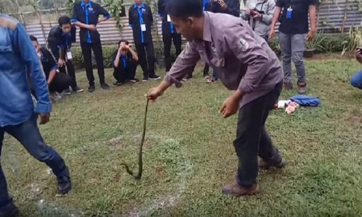 cara mencegah ular masuk garam