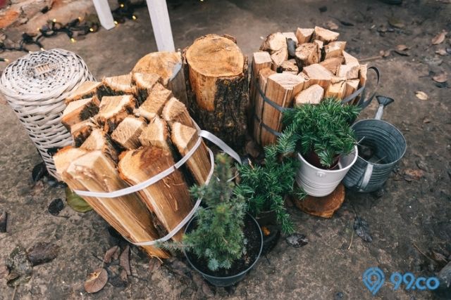 pindahkan tumpukan kayu untuk mencegah ular masuk rumah