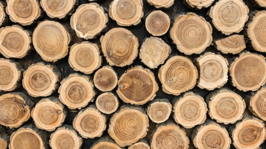 Daftar Harga Kayu Berbagai Jenis Terbaru