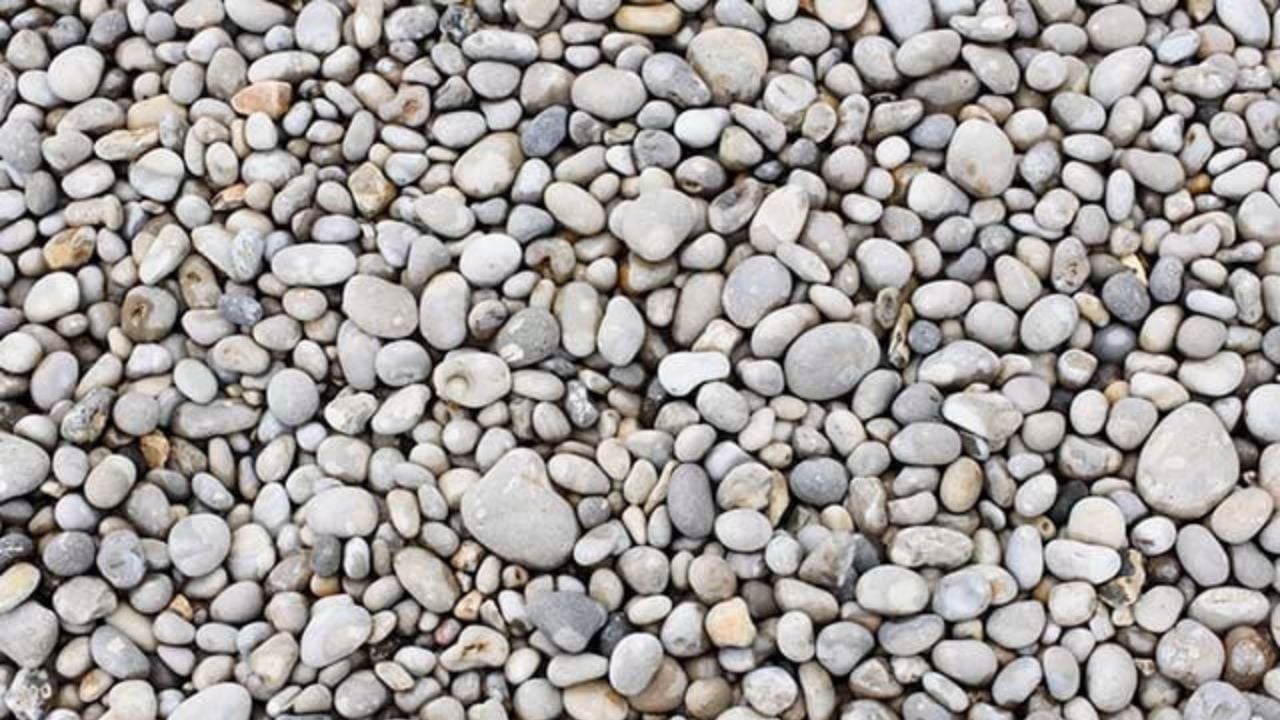 Daftar Harga Batu Koral Terbaru