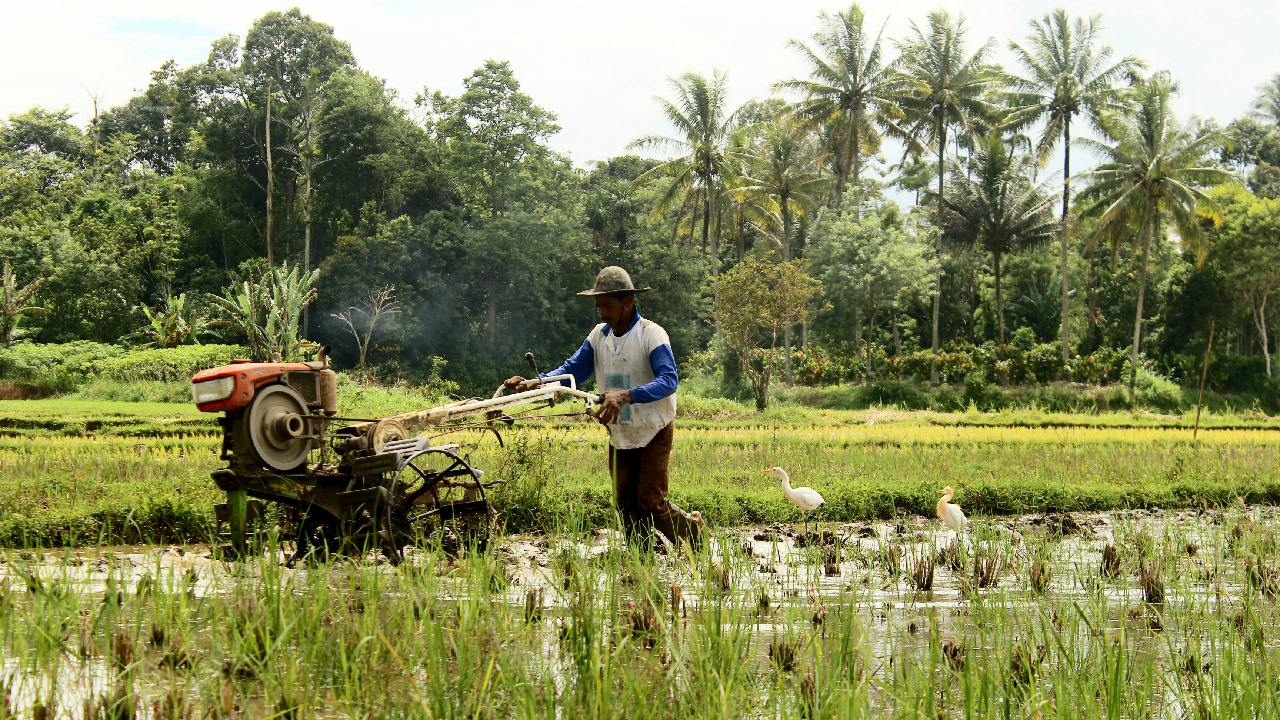 peraturan jual beli tanah pertanian aturan jual beli tanah pertanian