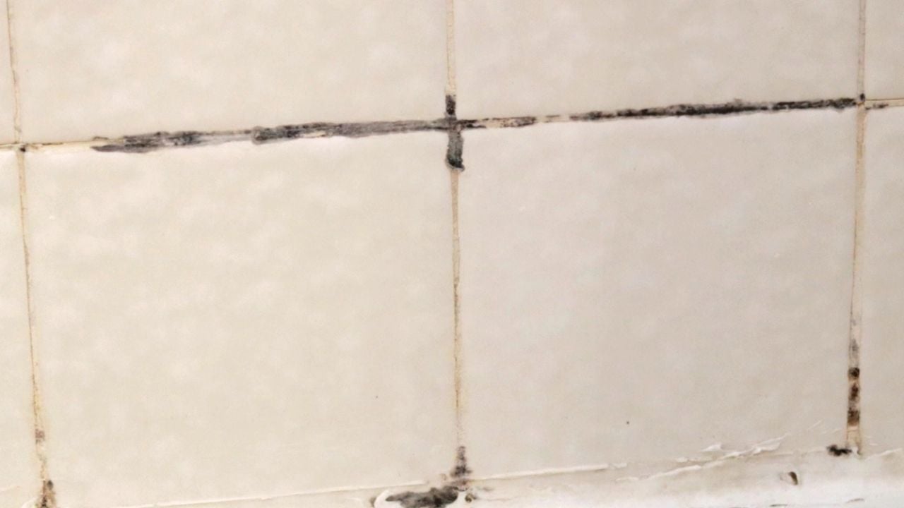 cara membersihkan lantai kamar mandi yang hitam dengan mudah