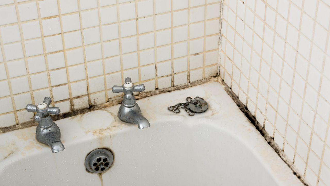 cara menghilangkan lantai kamar mandi yang hitam
