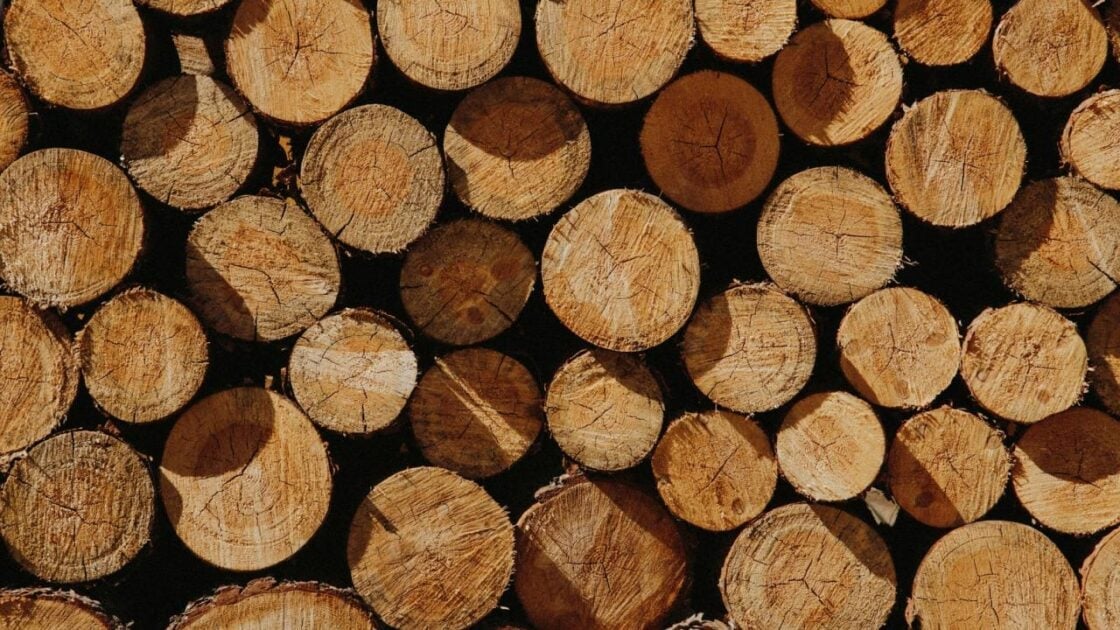 Perbandingan Kayu Mahoni vs Jati untuk Furnitur, Bagus Mana?