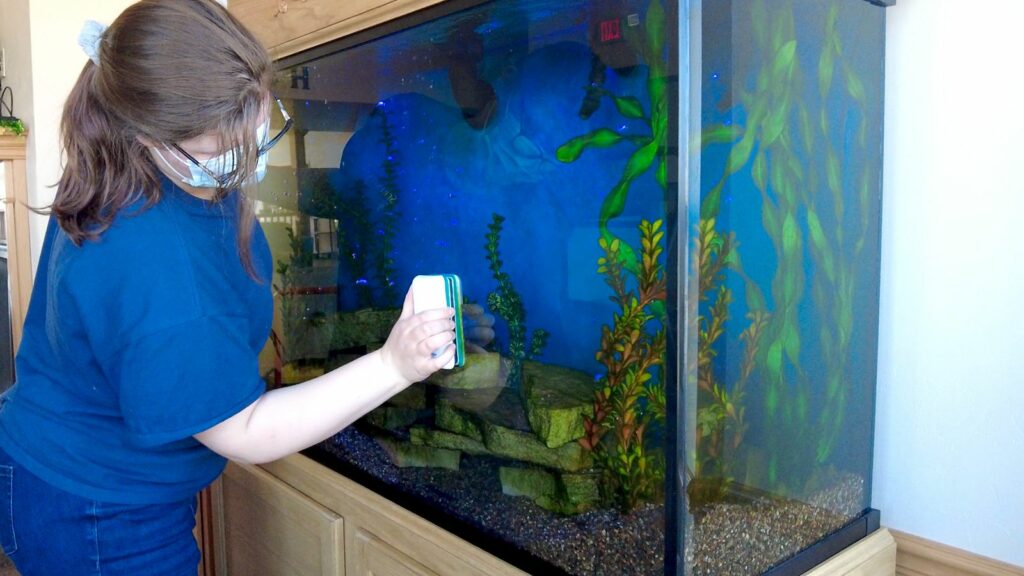 cara menghilangkan kerak air di kaca aquarium cara menghilangkan kerak air di kaca aquarium