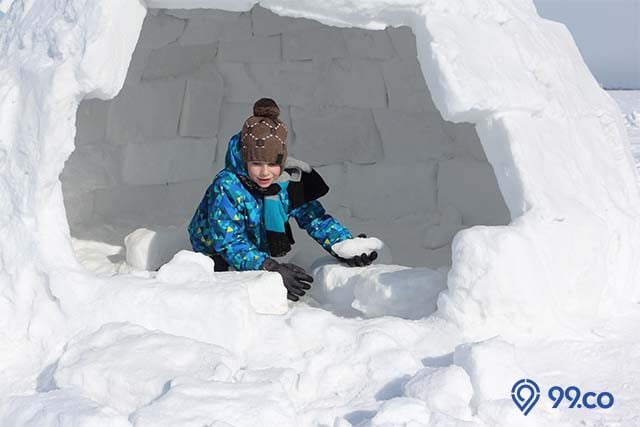 membangun rumah igloo orang eskimo