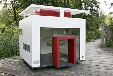 desain rumah anjing