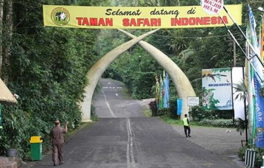 taman safari bogor
