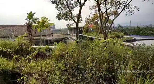 semak belukar di sekeliling bangunan terbengkalai