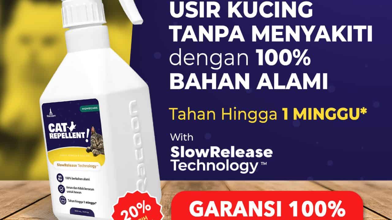 pengharum agar kucing tidak buang kotoran sembarangan