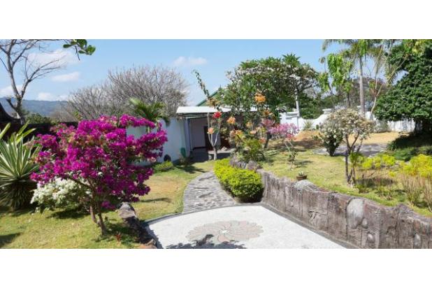rumah mewah di Anturan untuk investasi di Buleleng