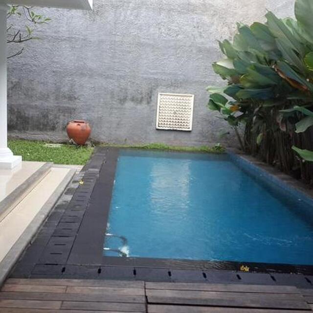 kolam renang belakang