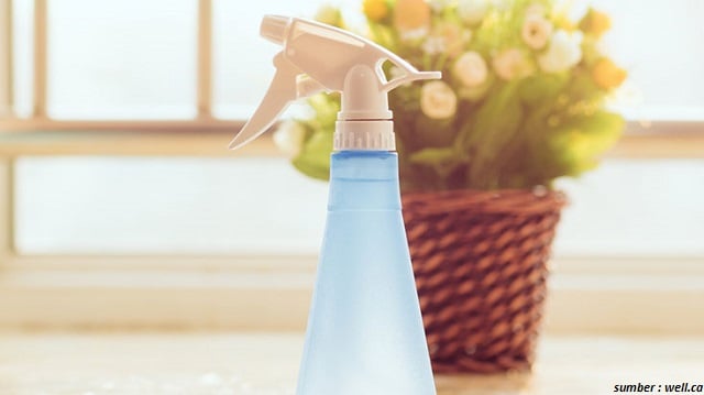 Cara Mengusir Kutu Busuk