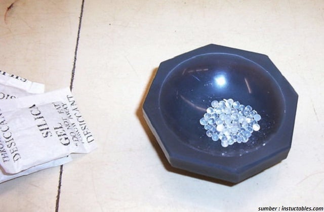 Cara Mengusir Kutu Busuk