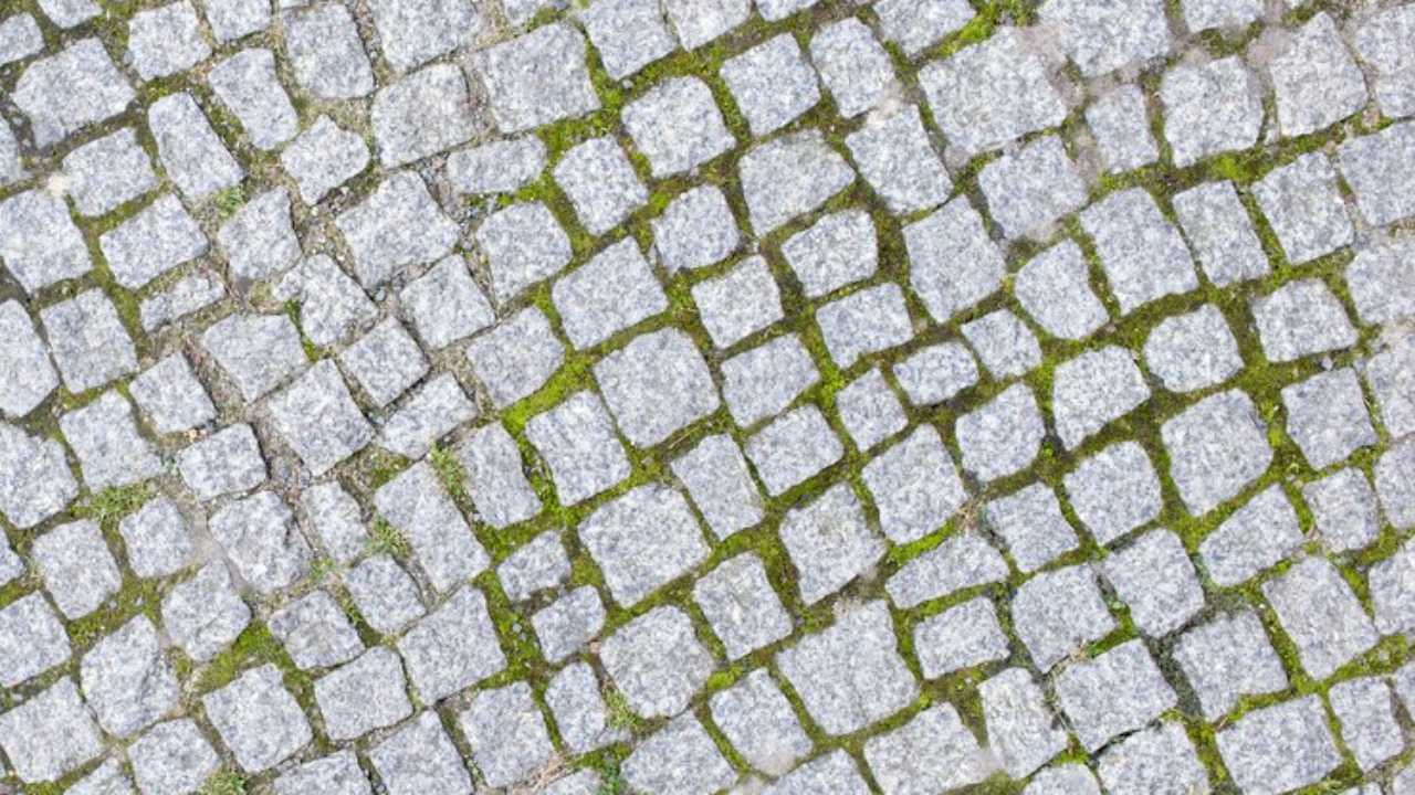 cara menghilangkan lumut pada paving block