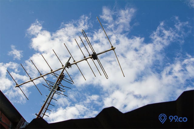 Cara Menghilangkan Semut di TV LED