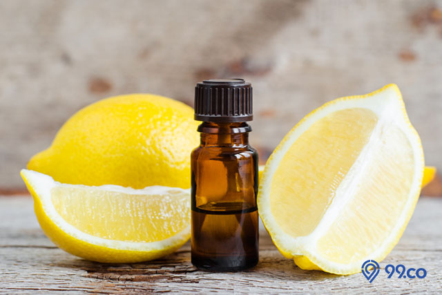 minyak lemon pembasmi tikus