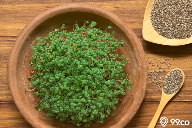 chia seed