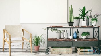 5 Inspirasi Gambar Desain Taman dalam Ruangan Sempit