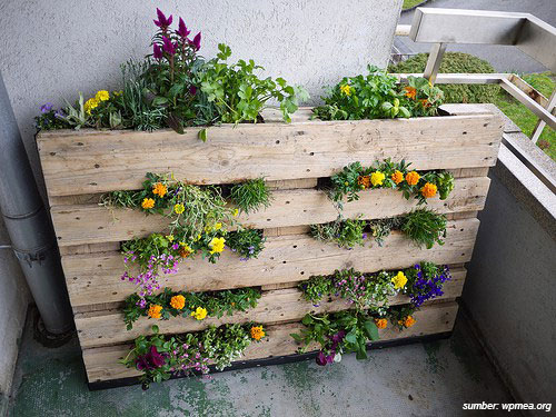 kebun minimalis dari palet kayu