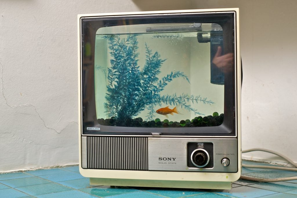 desain aquarium mini